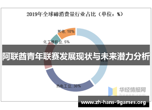 阿联酋青年联赛发展现状与未来潜力分析 阿联酋青年联赛发展现状与未来潜力分析